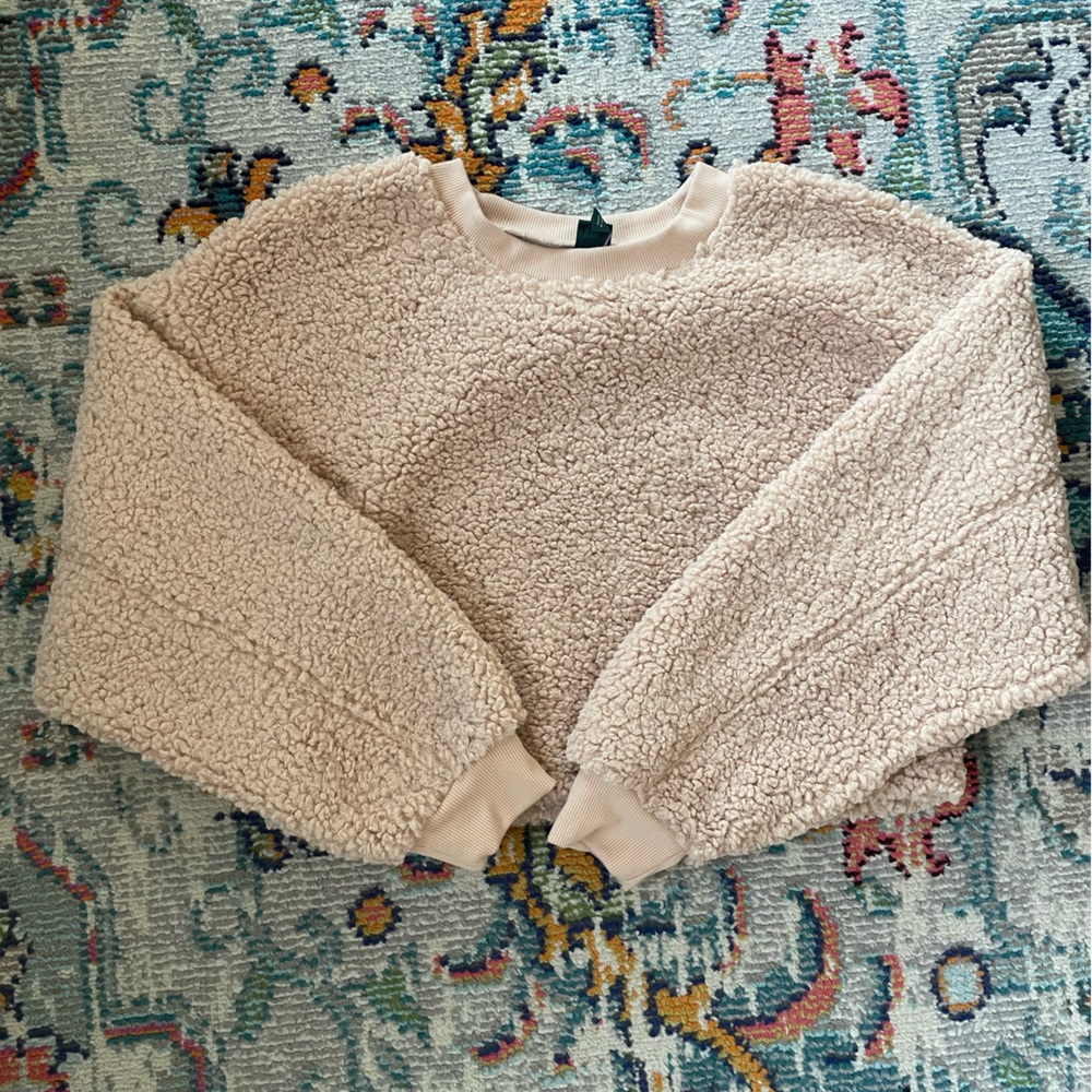 Wildfable crop sweater